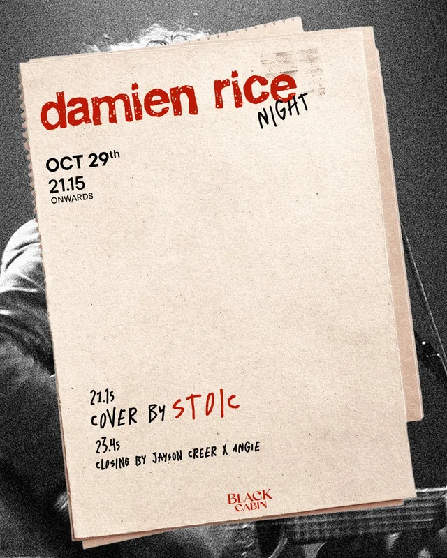 Damien Rice Night-thumbnail